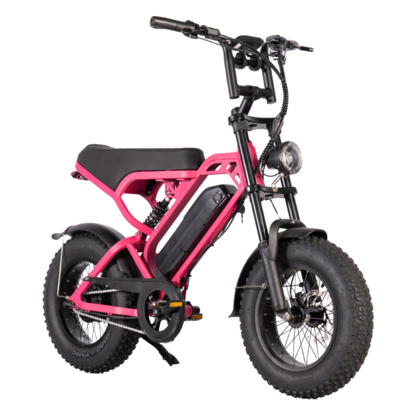 V20 Pro Mini Fatbike – Pembe