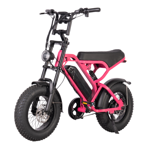 V20 Pro Mini Fatbike – Pembe