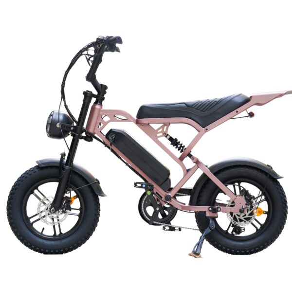 V20 Pro Mini Fatbike – Gül Altını