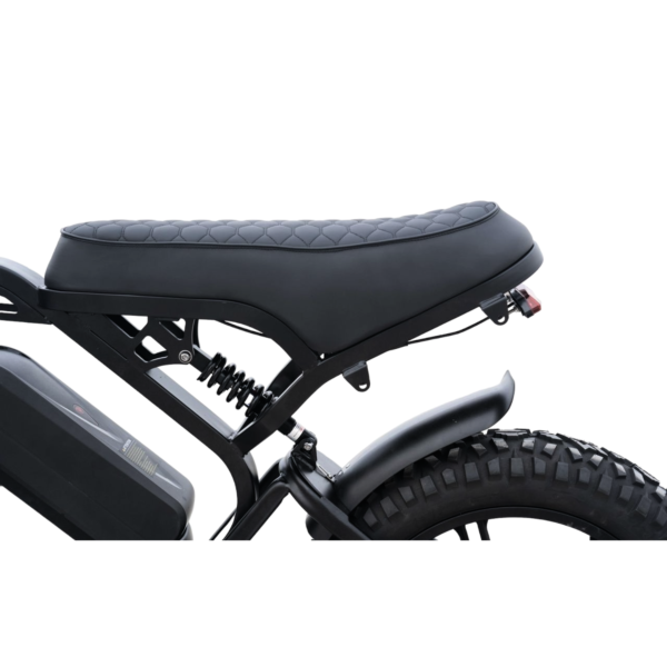 Fatbike – V20 Pro Limited Edition